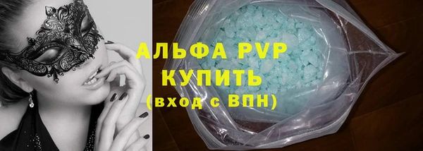 PSILOCYBIN Заводоуковск