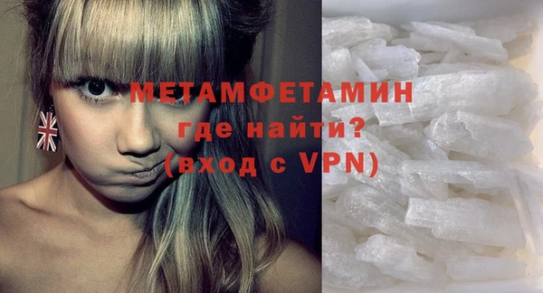 гидра Елизово