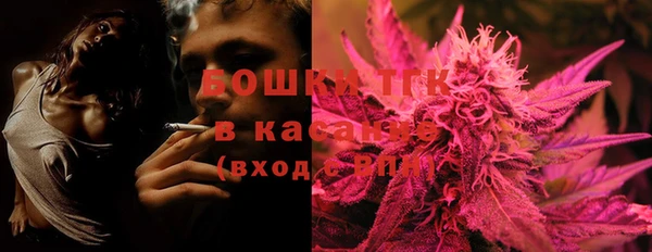 PSILOCYBIN Заводоуковск
