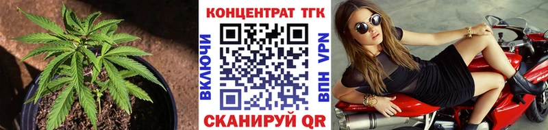 дарнет шоп  Знаменск  MEGA ссылка  ТГК вейп с тгк 