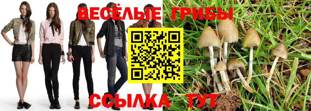 Псилоцибиновые грибы MAGIC MUSHROOMS Знаменск